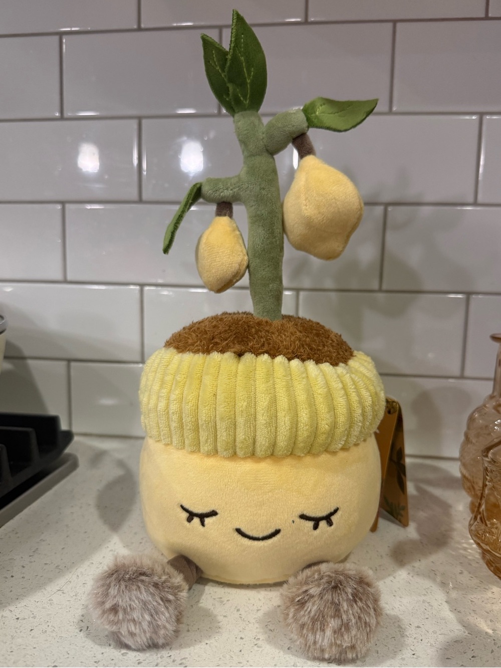 Plush Yellow Lemon Greenhouse by Russ